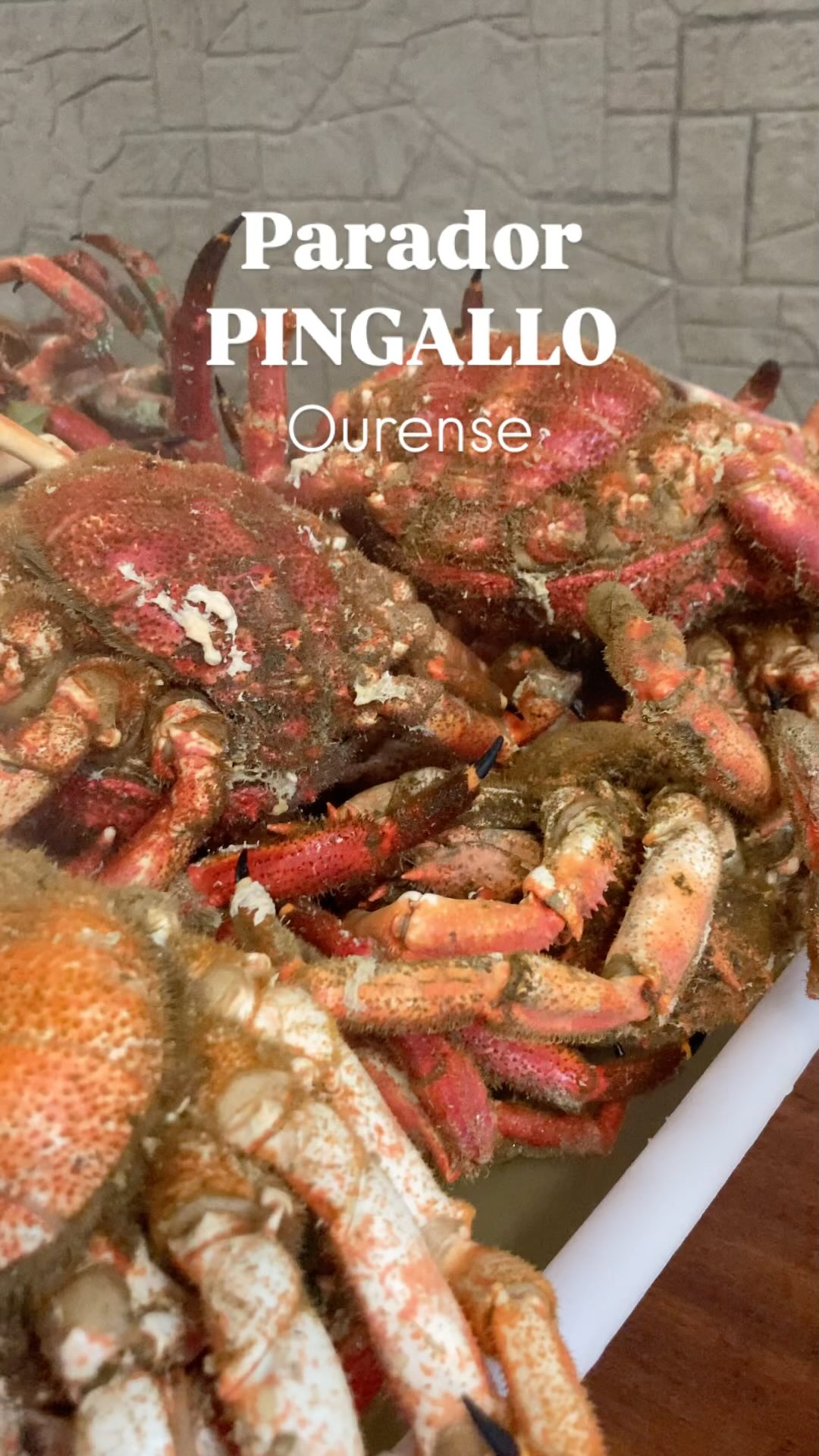 Las buenas ocasiones hay que celebrarlas, y puestos a escoger, el @restaurante_pingallo es nuestro lugar favorito 😍

Producto de primera, buenos vinos y servicio esmerado. Nos sentimos como en casa.
Ourense mola!!